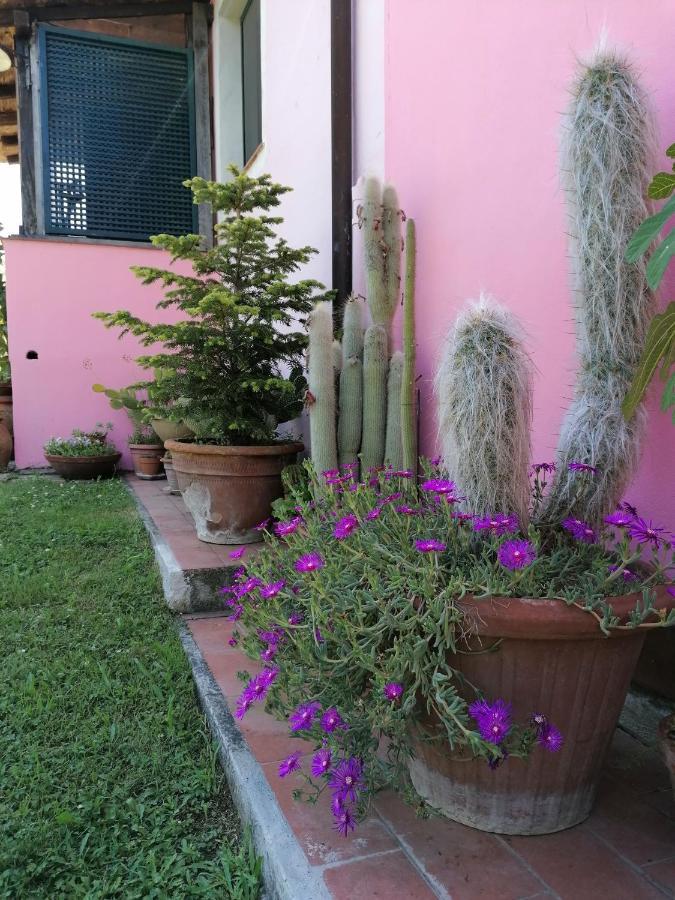 Agriturismo Campolungo Sant'Ermo Exterior foto