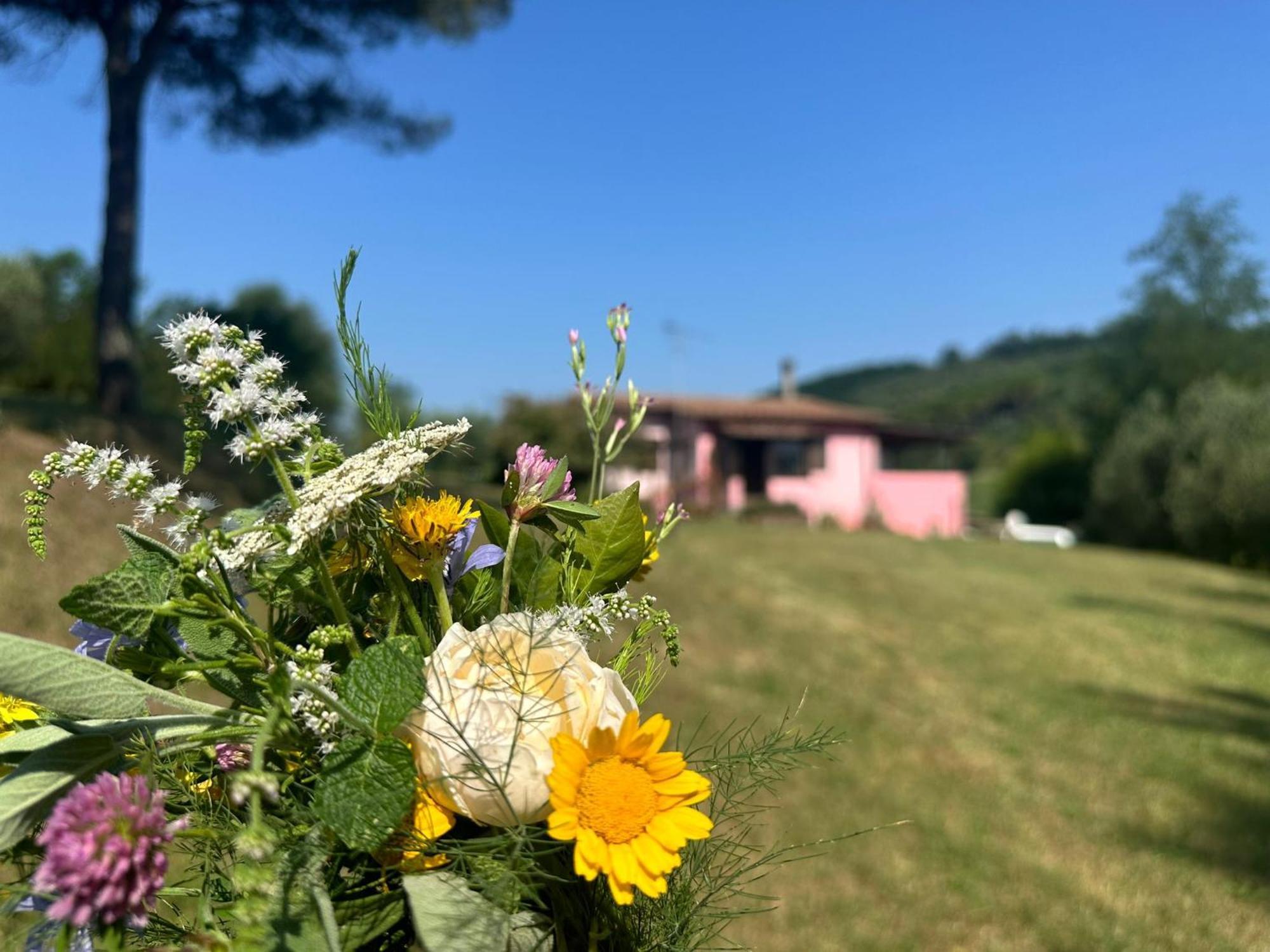Agriturismo Campolungo Sant'Ermo Exterior foto
