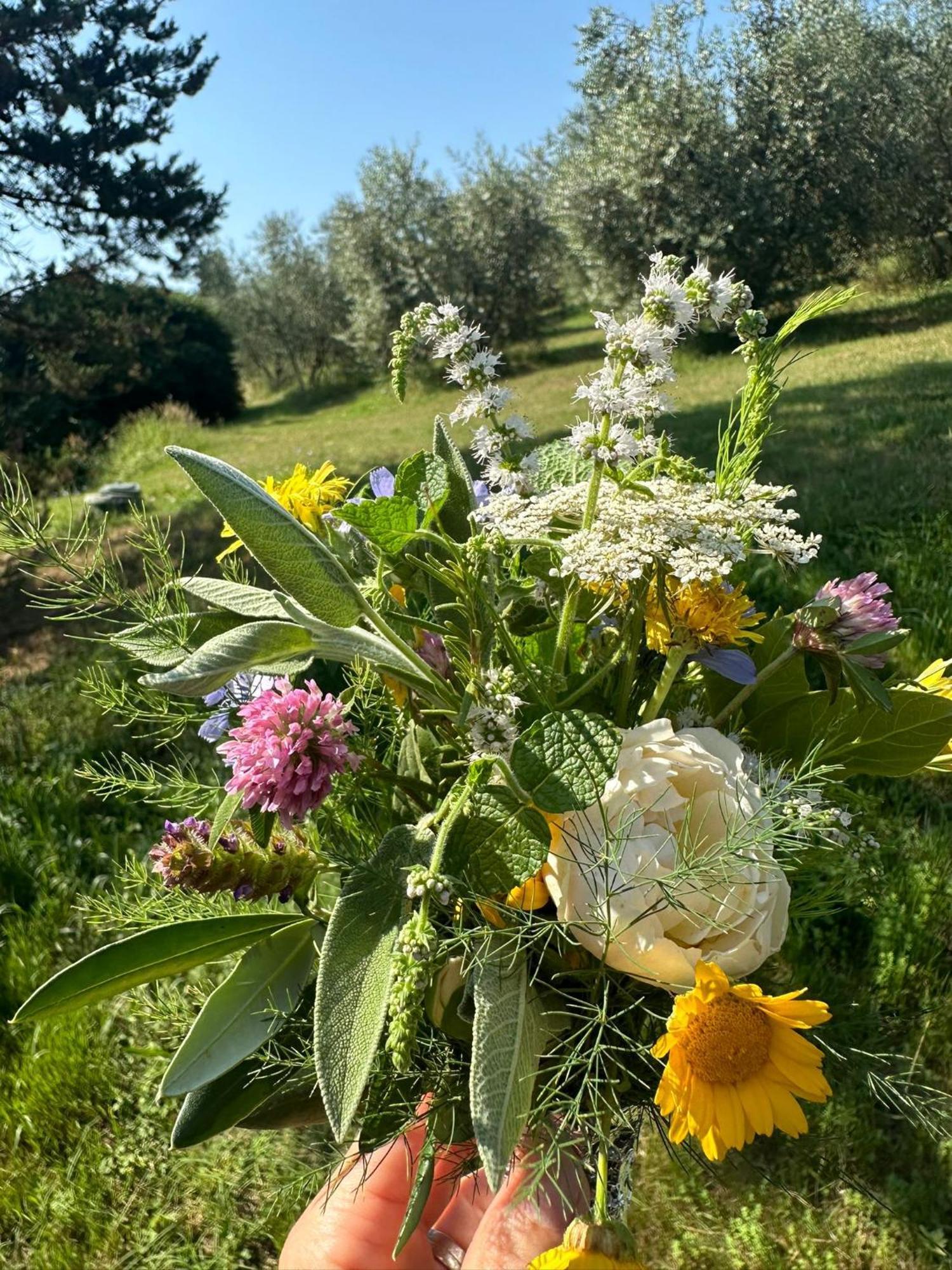 Agriturismo Campolungo Sant'Ermo Exterior foto